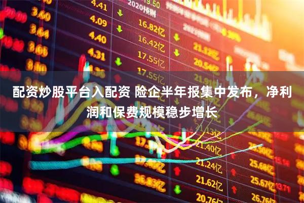 配资炒股平台入配资 险企半年报集中发布，净利润和保费规模稳步增长