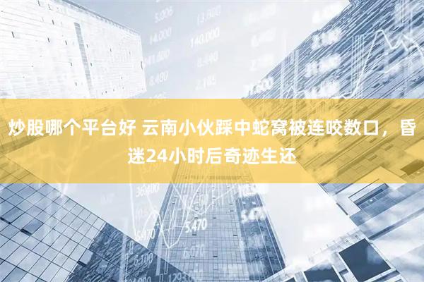 炒股哪个平台好 云南小伙踩中蛇窝被连咬数口，昏迷24小时后奇迹生还