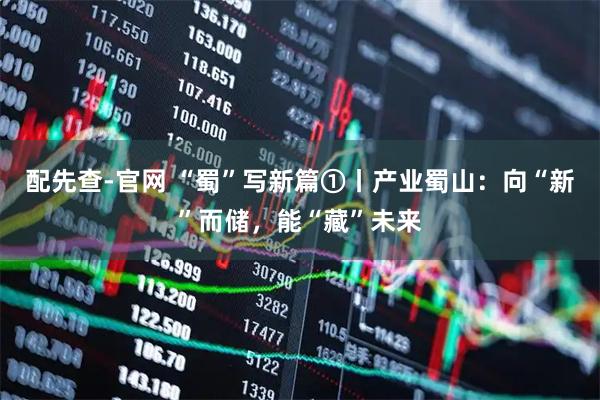 配先查-官网 “蜀”写新篇①丨产业蜀山：向“新”而储，能“藏”未来